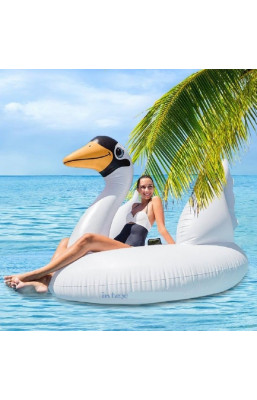 Cygne gonflable grand...