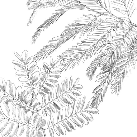 Parure de lit Monstera blanc et vert 240x220 Atmosphera - Le dépôt Bailleul