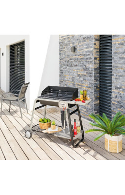 Barbecue à charbon Azur pro...