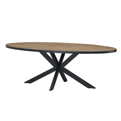 Table à manger ovale 220 cm pieds étoile Lio - Le Dépôt Bailleul