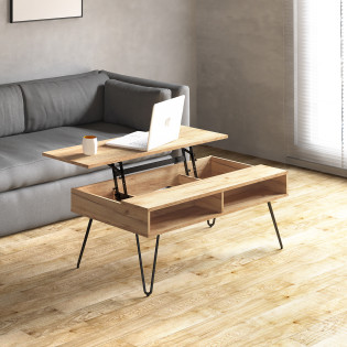 Table basse 2 niches et...