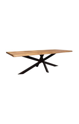 Table à manger 200 x 100 cm...