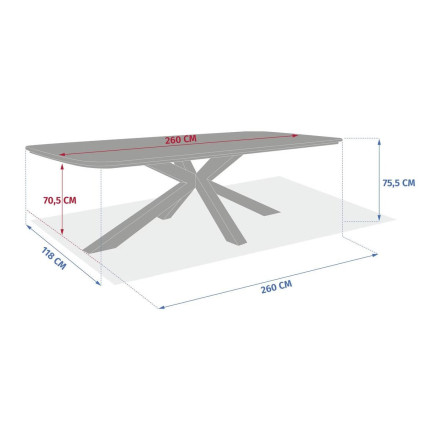 Table de jardin 10 places Oraclion effet bois pied étoile Hespéride - Le Dépôt Bailleul