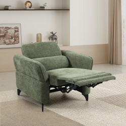 Fauteuil relax électrique 3125 vert - Le Dépôt Bailleul