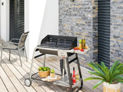 Quel barbecue choisir ?
