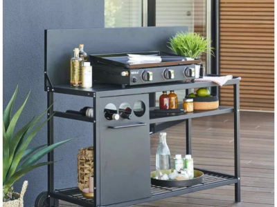 Comment choisir une plancha ?